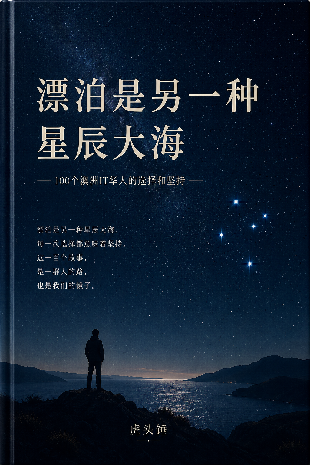 漂泊是另一种星辰大海 封面